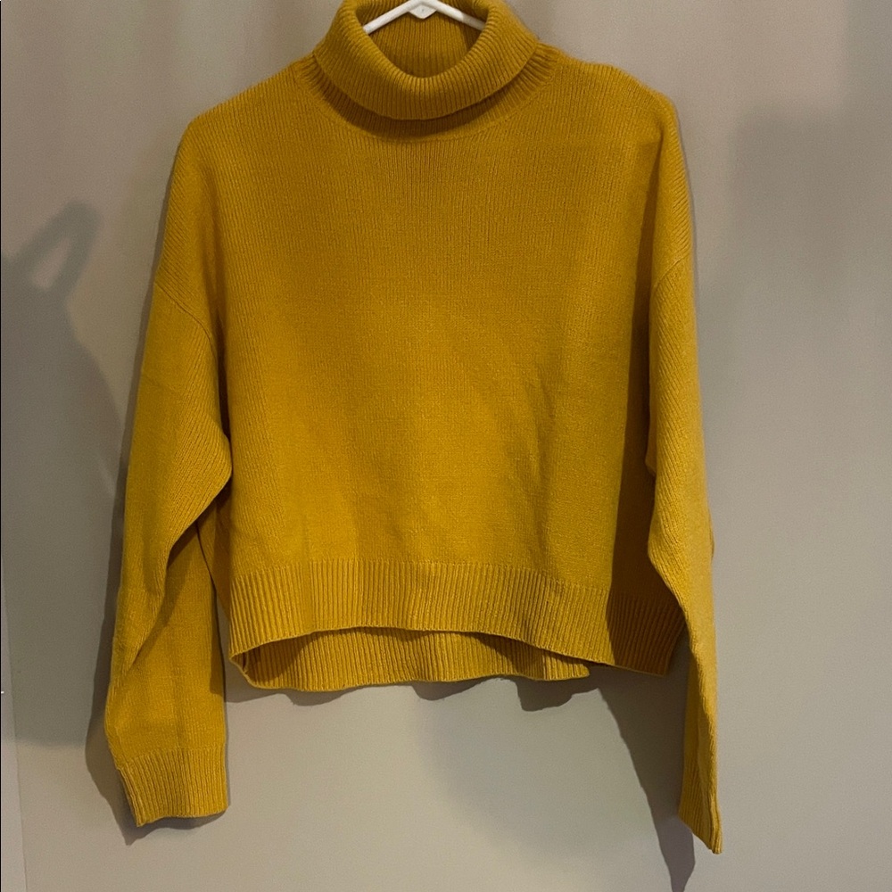 H&M Golden Turtleneck Sweater
